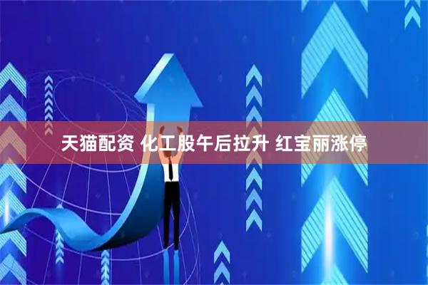 天猫配资 化工股午后拉升 红宝丽涨停