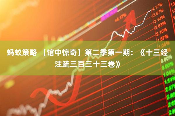 蚂蚁策略 【馆中惊奇】第二季第一期：《十三经注疏三百三十三卷》